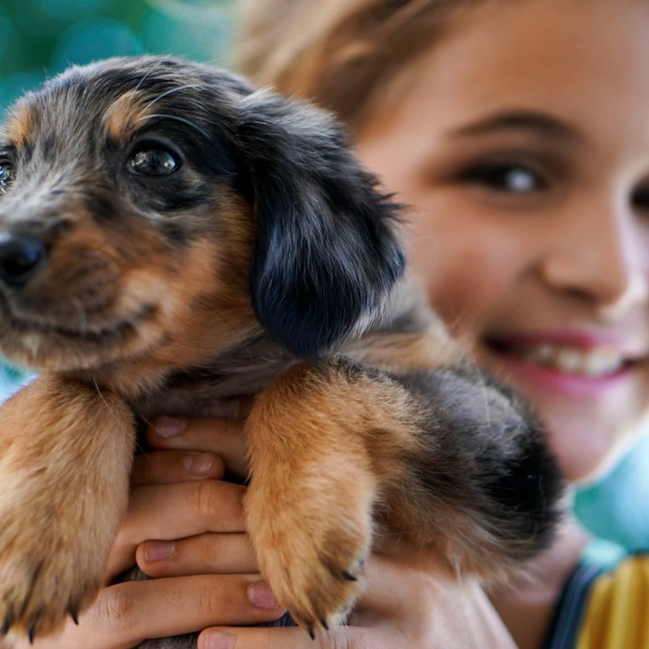 Benefits of having pets in children’s social-emotional development