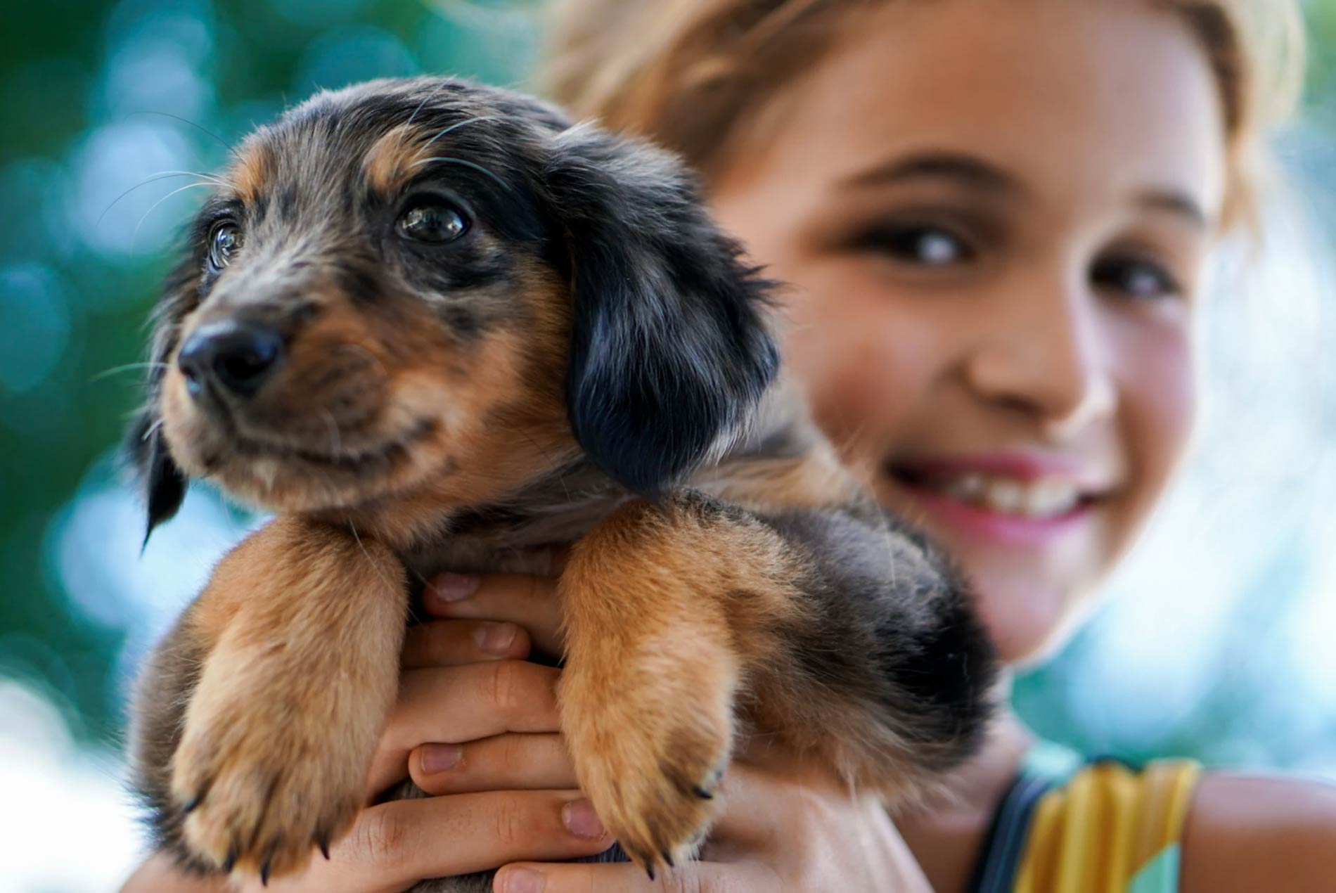 Benefits of having pets in children’s social-emotional development