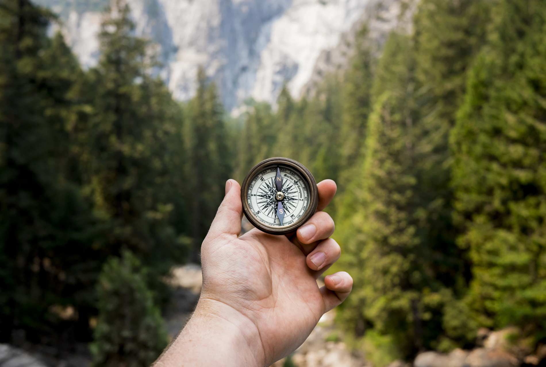 Coaching para la primera etapa del desarrollo profesional