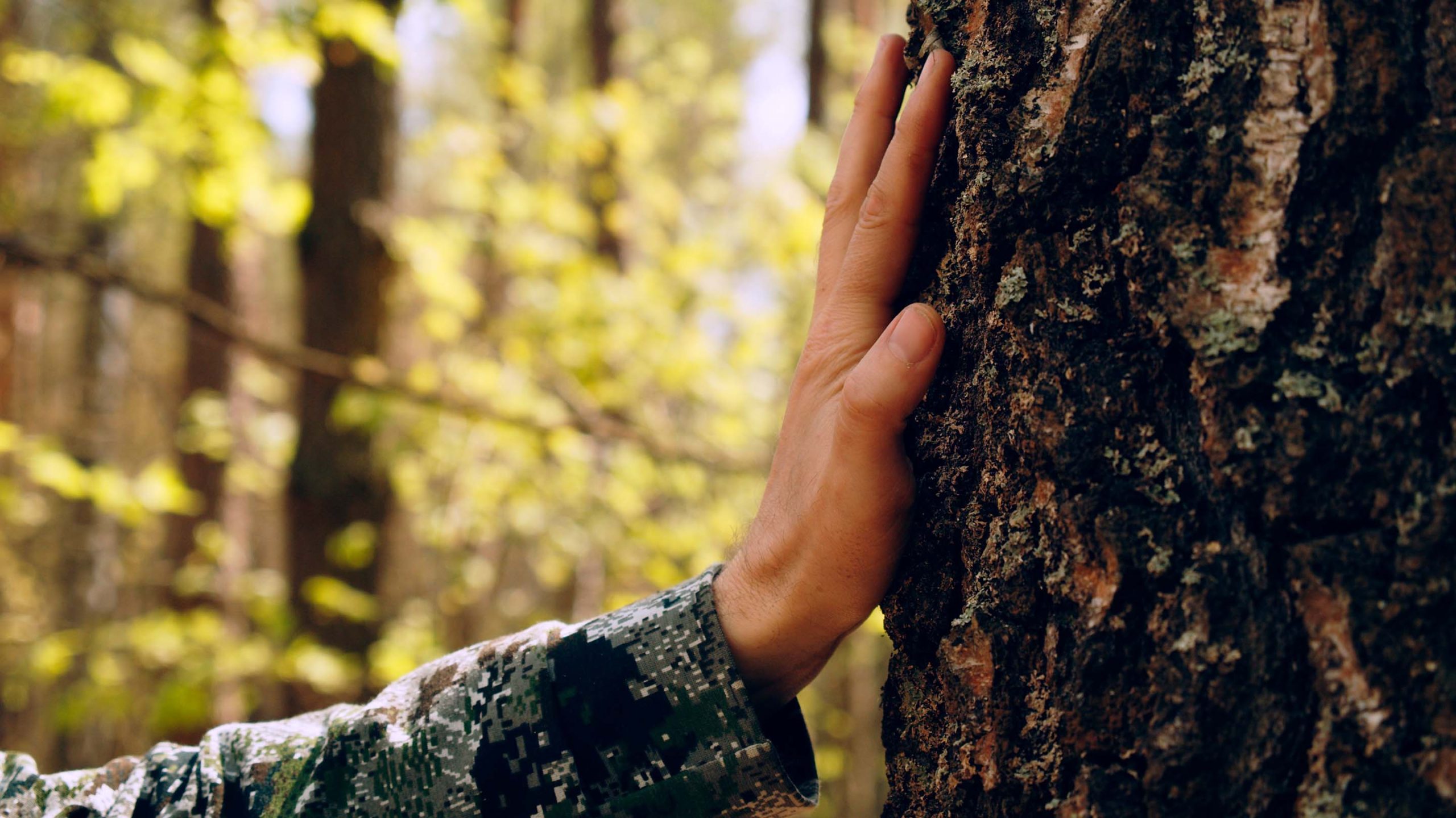 ¿Cómo la Naturaleza Puede Transformar Tu Salud? 2