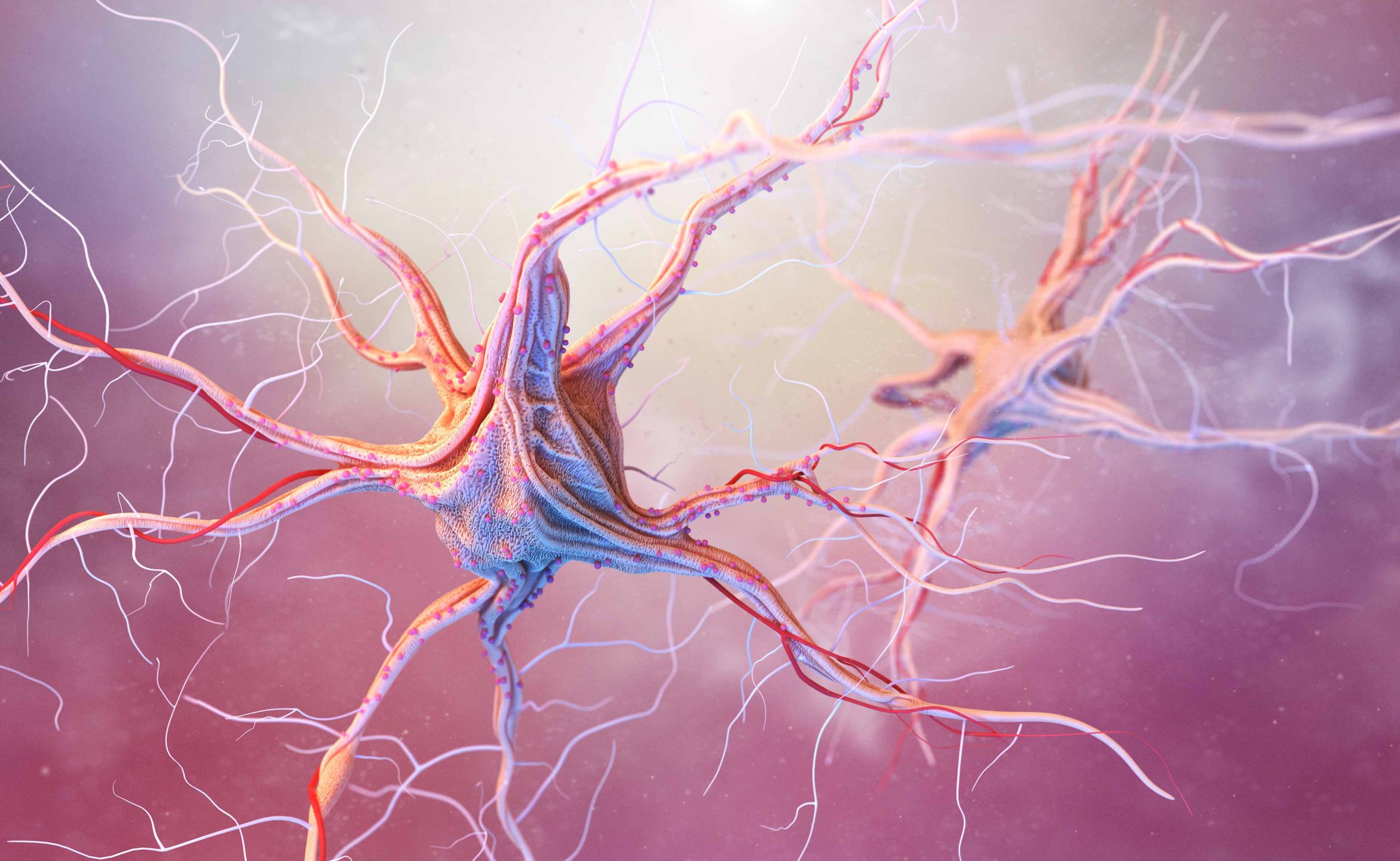 La conexión entre la microbiota intestinal y la salud mental 2